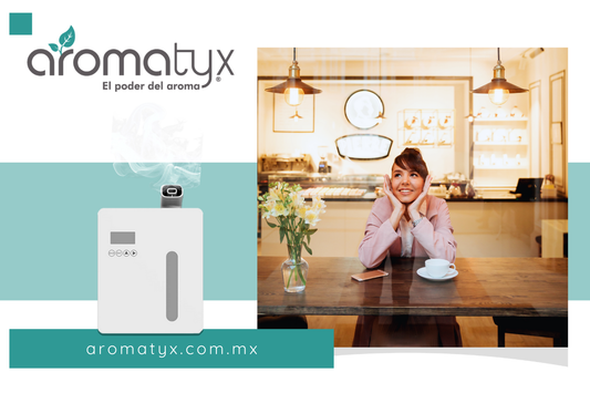 El aroma transforma un espacio común en una experiencia inolvidable