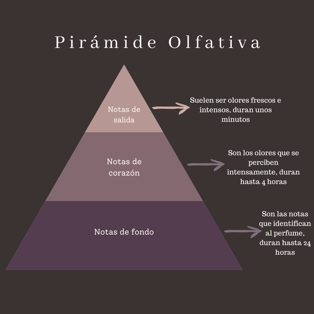 PIRÁMIDE OLFATIVA. Qué es? , y cómo funciona?