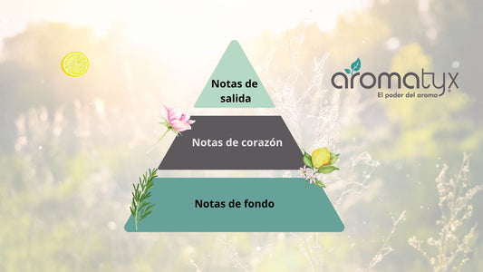 ¿Qué es la pirámide olfativa y por qué deberías conocerla?