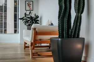 esencias-sala-plantas-sillón-maceta