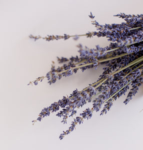 esencias-lavanda-flor